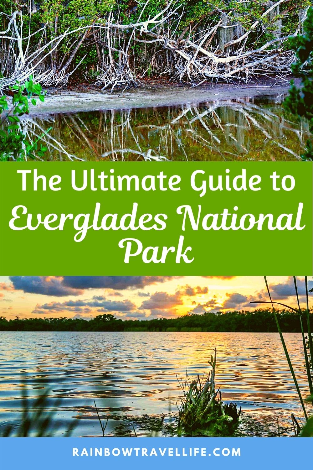 An Enormous Guide To Visiting Everglades National Park