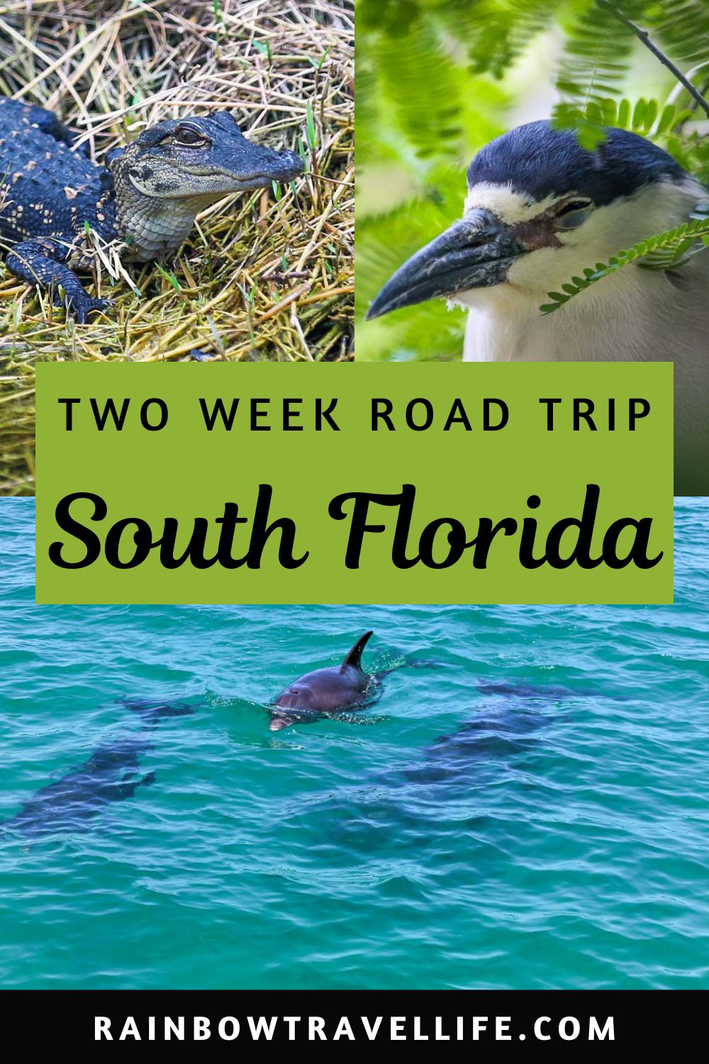 Must See Places On A South Florida Road Trip + Itinerary